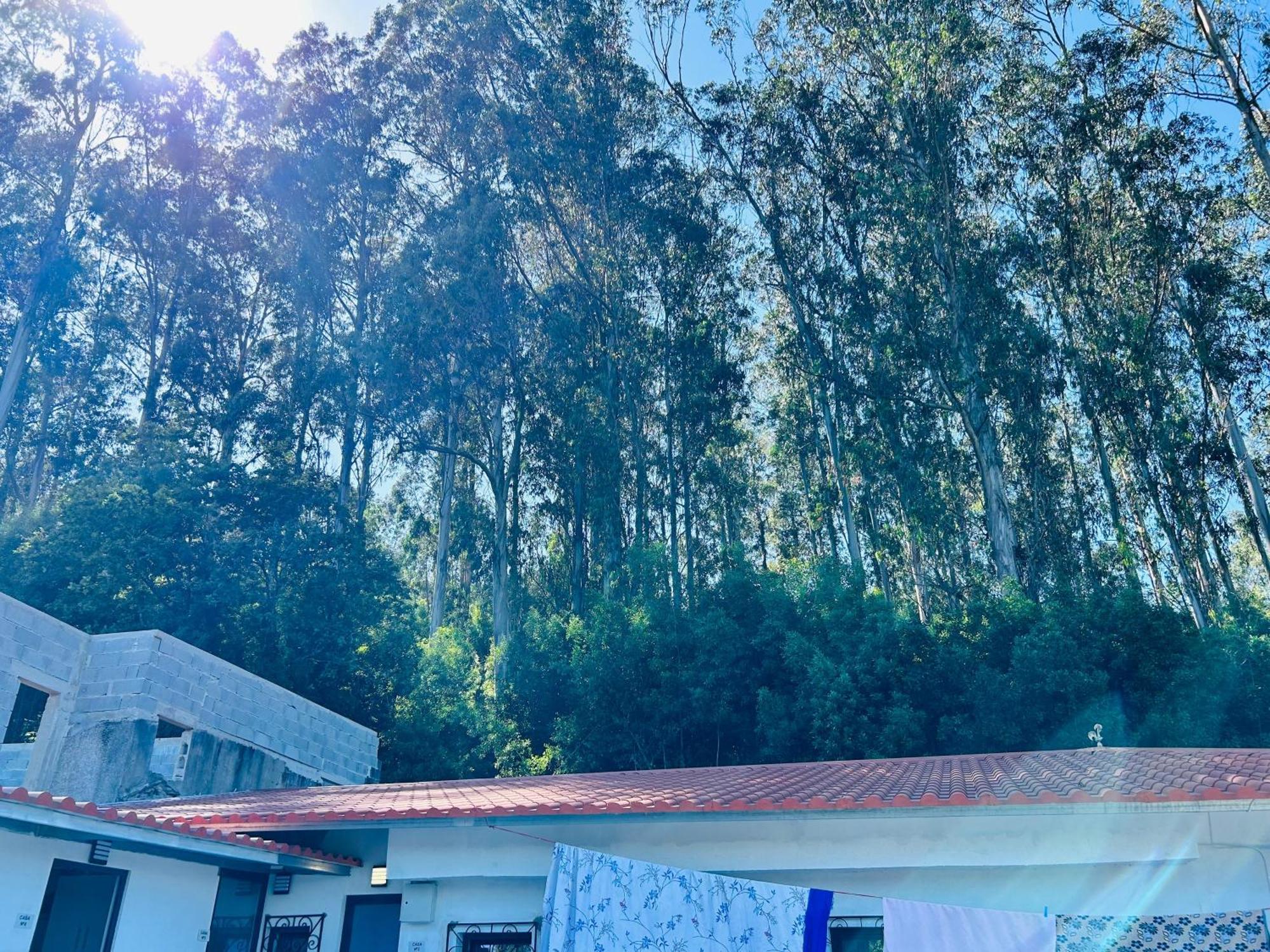 Japji Guest House Esmeriz Vitoria Exterior photo